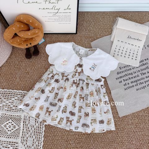 image_0477F57D-AAC9-4122-843E-9F143ECB3AC3_1764049059