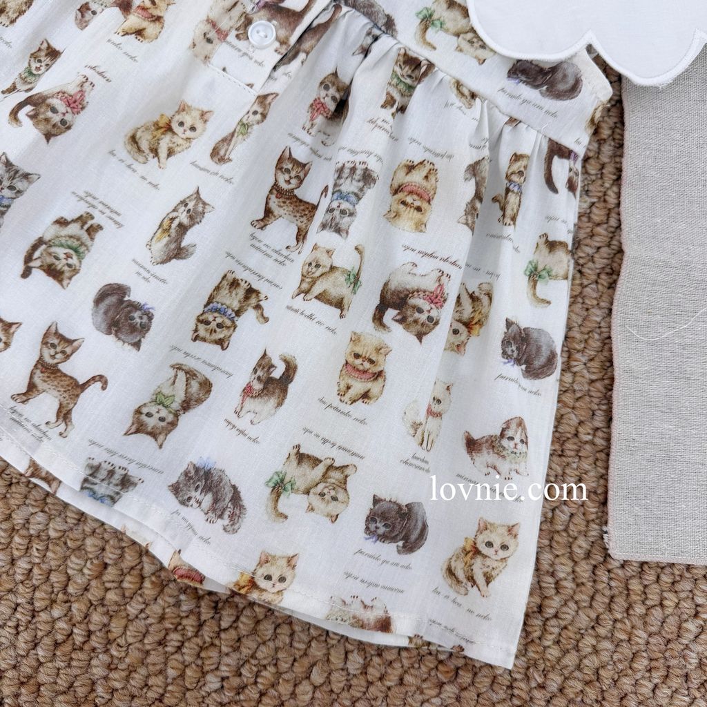 image_8618733D-2C19-4DB0-A9B4-3460DA68E0C2_1764049059