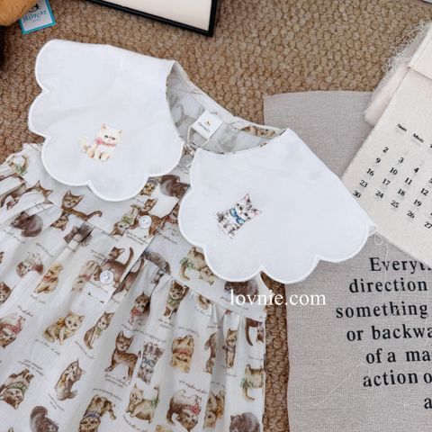 image_EA77419D-DA62-4FCA-8262-45E990184F19_1764049059