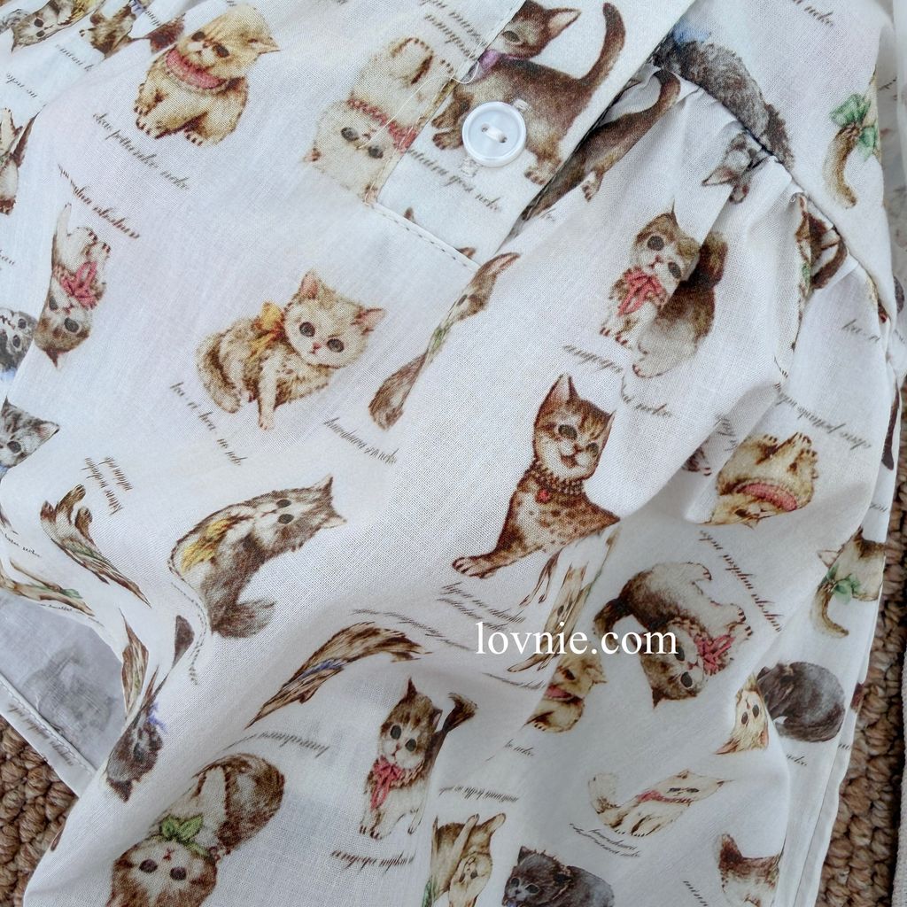 image_5AC4439A-1981-4AA1-886B-6ECFF5C5571E_1764049059