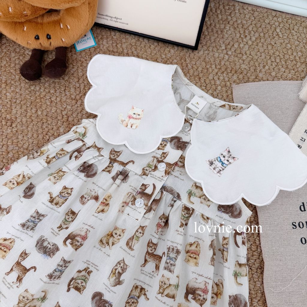 image_69B90B87-3702-4E76-96E0-139EA2D4F91C_1764049059