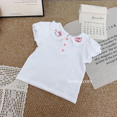 image_88BD1B75-2349-4CEA-BB55-ACC244367C7E_1764049172