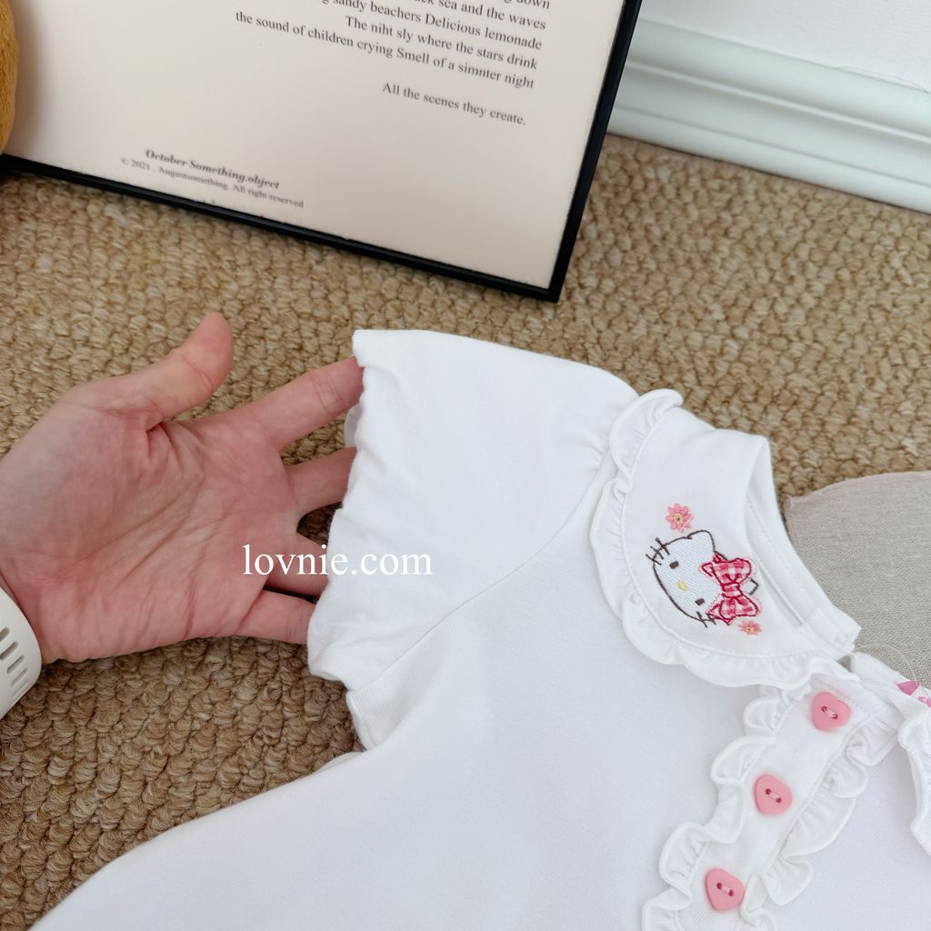 image_2FC01BF8-40B4-4D00-BAF6-7FCF9AB80C0D_1764049172