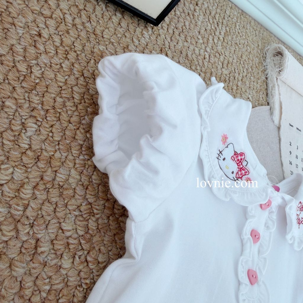 image_5B89A078-95EF-49F0-8069-A9E6BCAAF3C2_1764049172