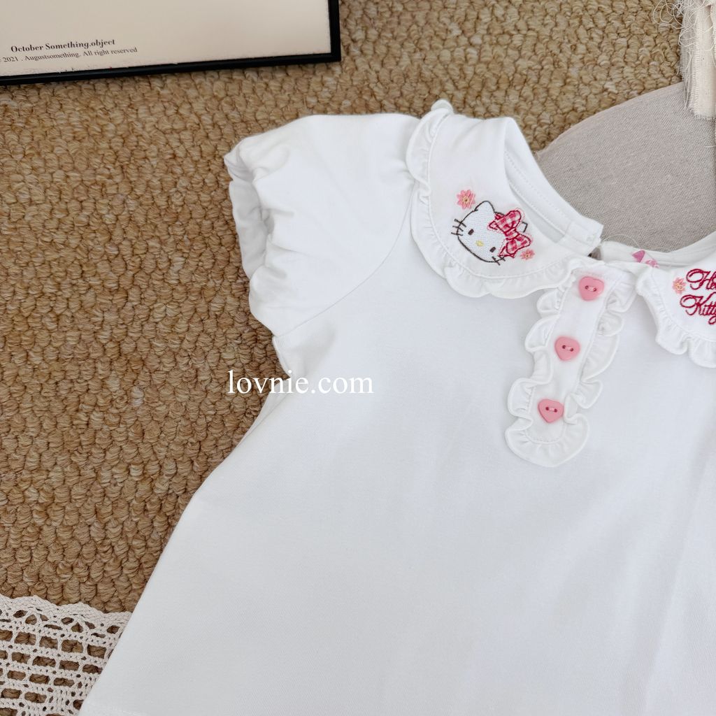 image_DA8A24DA-05EE-49C6-998C-D1AE407CFF62_1764049172