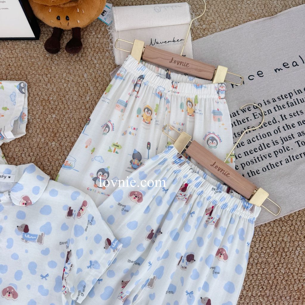 image_C3EA3DCB-5D8D-44BB-8E8F-4025ABB4557C_1764049608