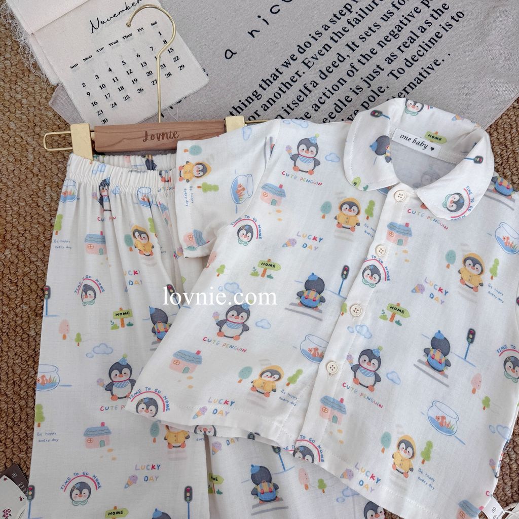 image_988CCC06-A352-4A89-BE7F-93500BDE1695_1764049608