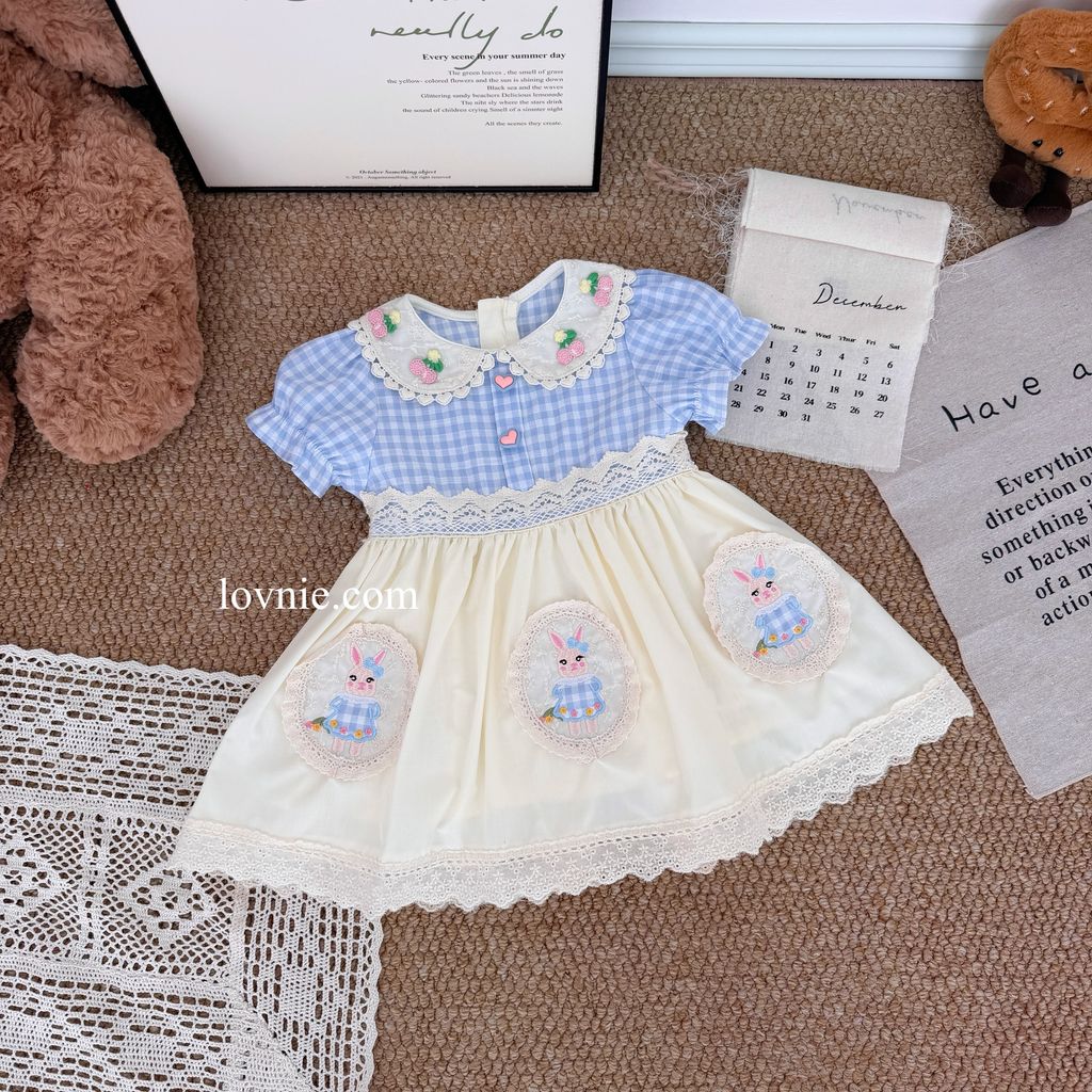 image_ED6B9555-1A2D-4799-BFB6-8EEAEFF56A1E_1764737386