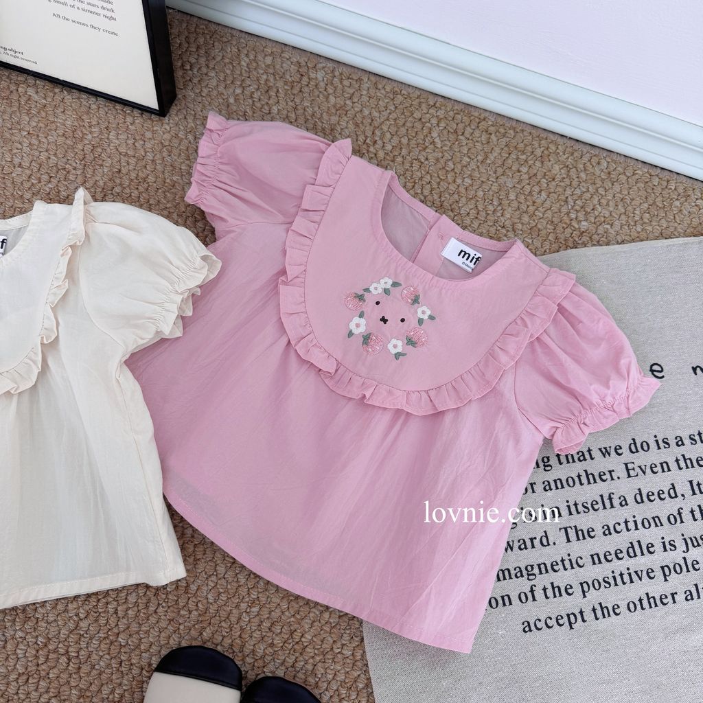 image_5629C09C-CB56-4C51-8D58-A2DAFEBE9150_1765349459