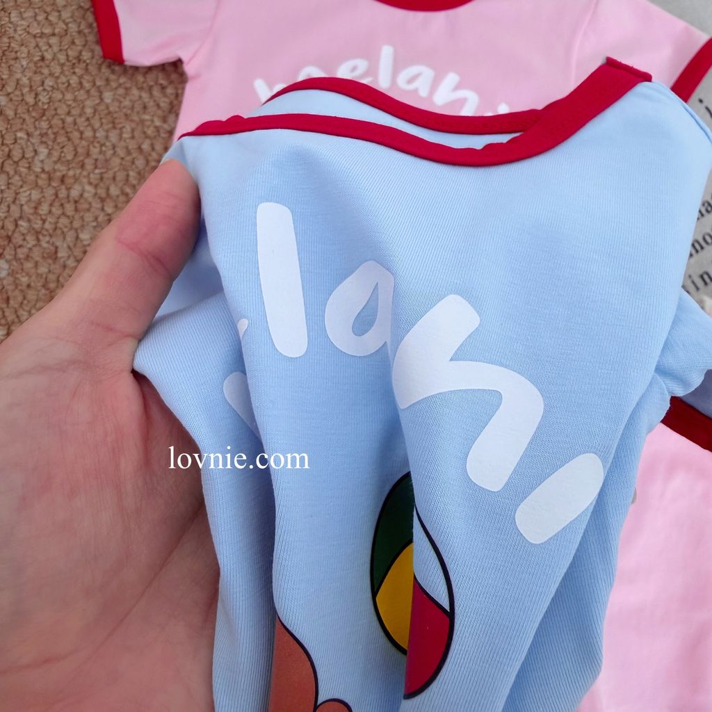 image_04A78B1D-AD7E-4690-9620-8C735B5523C3_1765349627