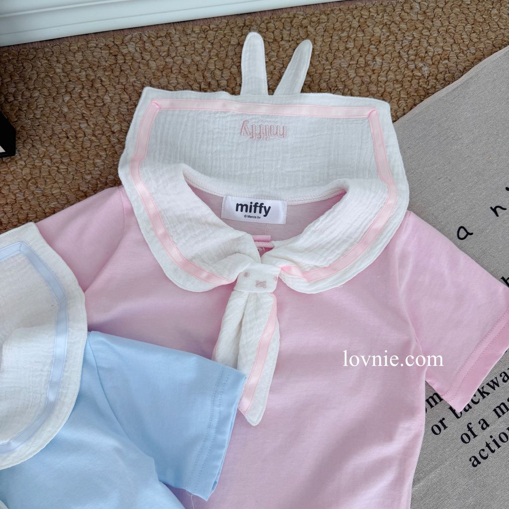 image_1E186761-472D-4F0C-A146-44FE713F6709_1765349675