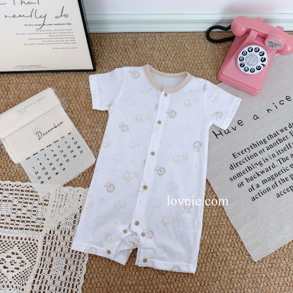 image_5E2106C8-8F3D-46B9-957D-D8F8250FD821_1765349893