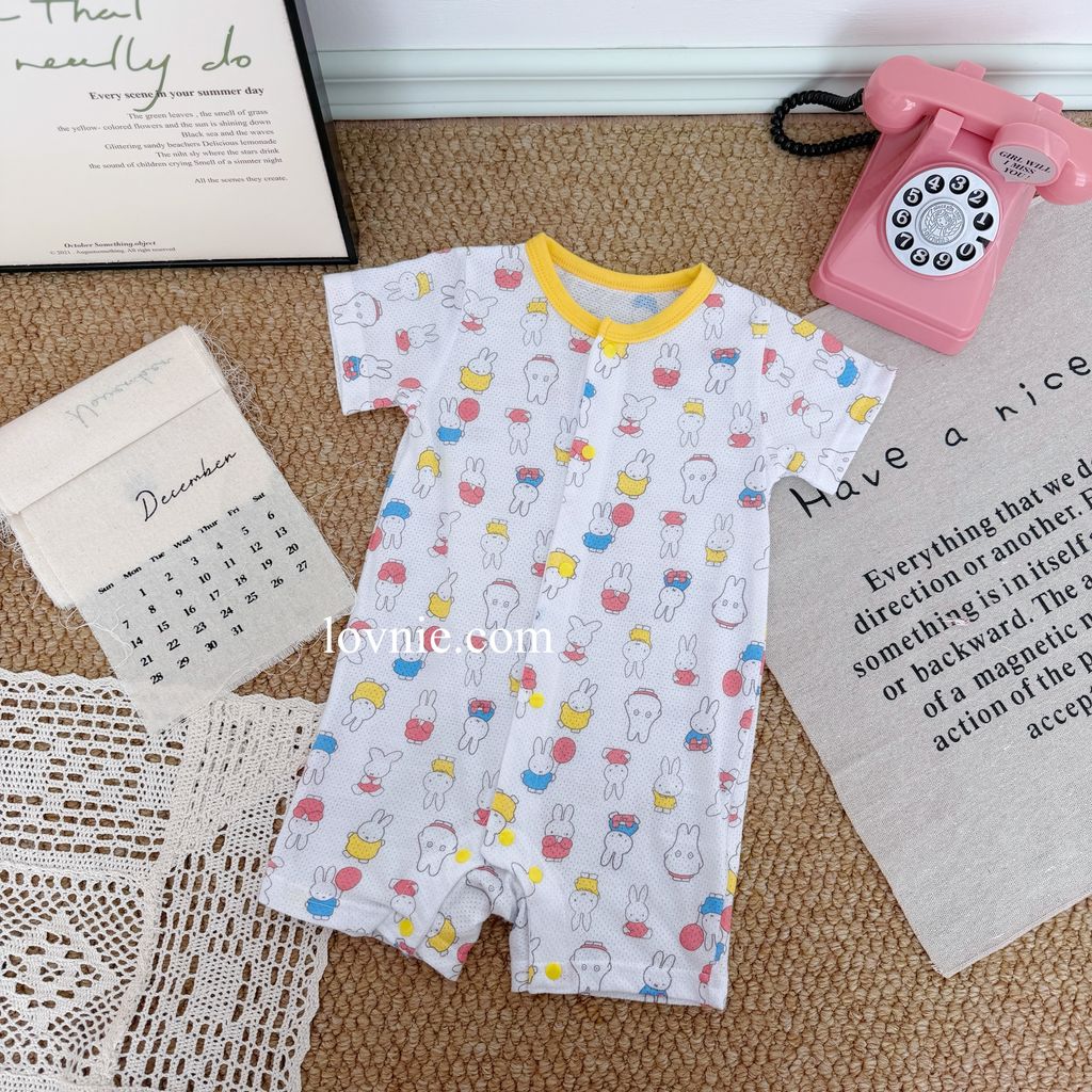 image_35C2F677-DD57-48E6-AE59-AE58E25870B1_1765349893