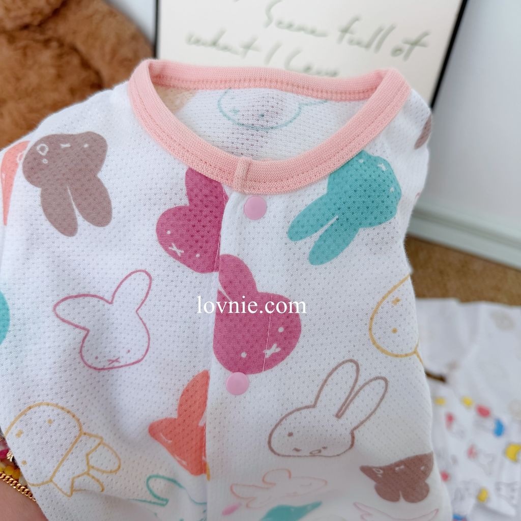 image_B4D8A11D-C700-4B1C-8C1F-BD7307D8C4B3_1765349893