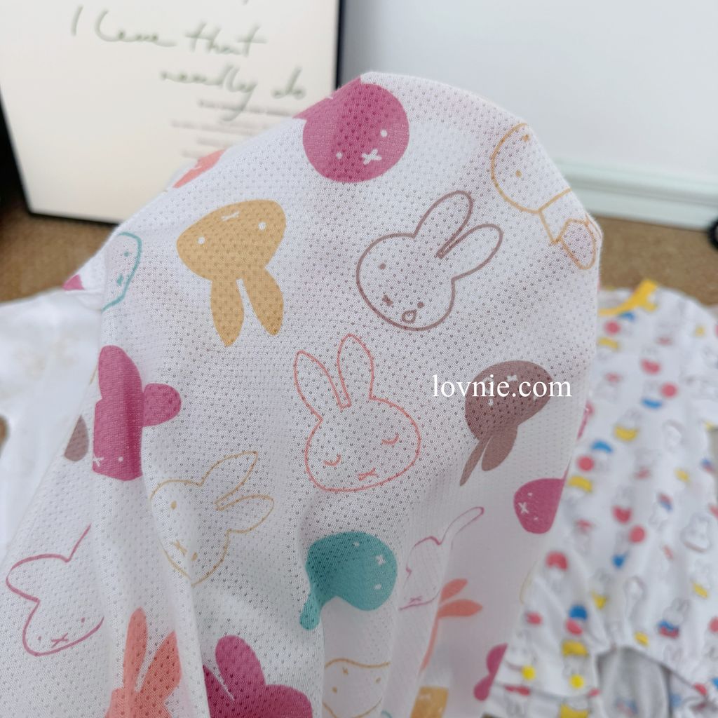 image_DDF01C71-4C56-4731-9EC0-52A9027A9678_1765349956