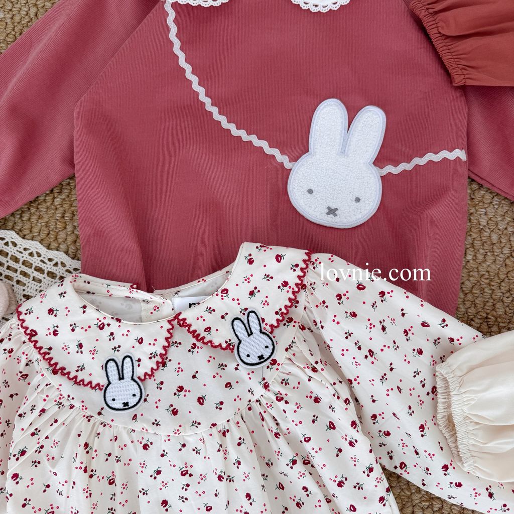 image_4AF8DC82-B617-482C-B612-386843DDFC60_1765350475