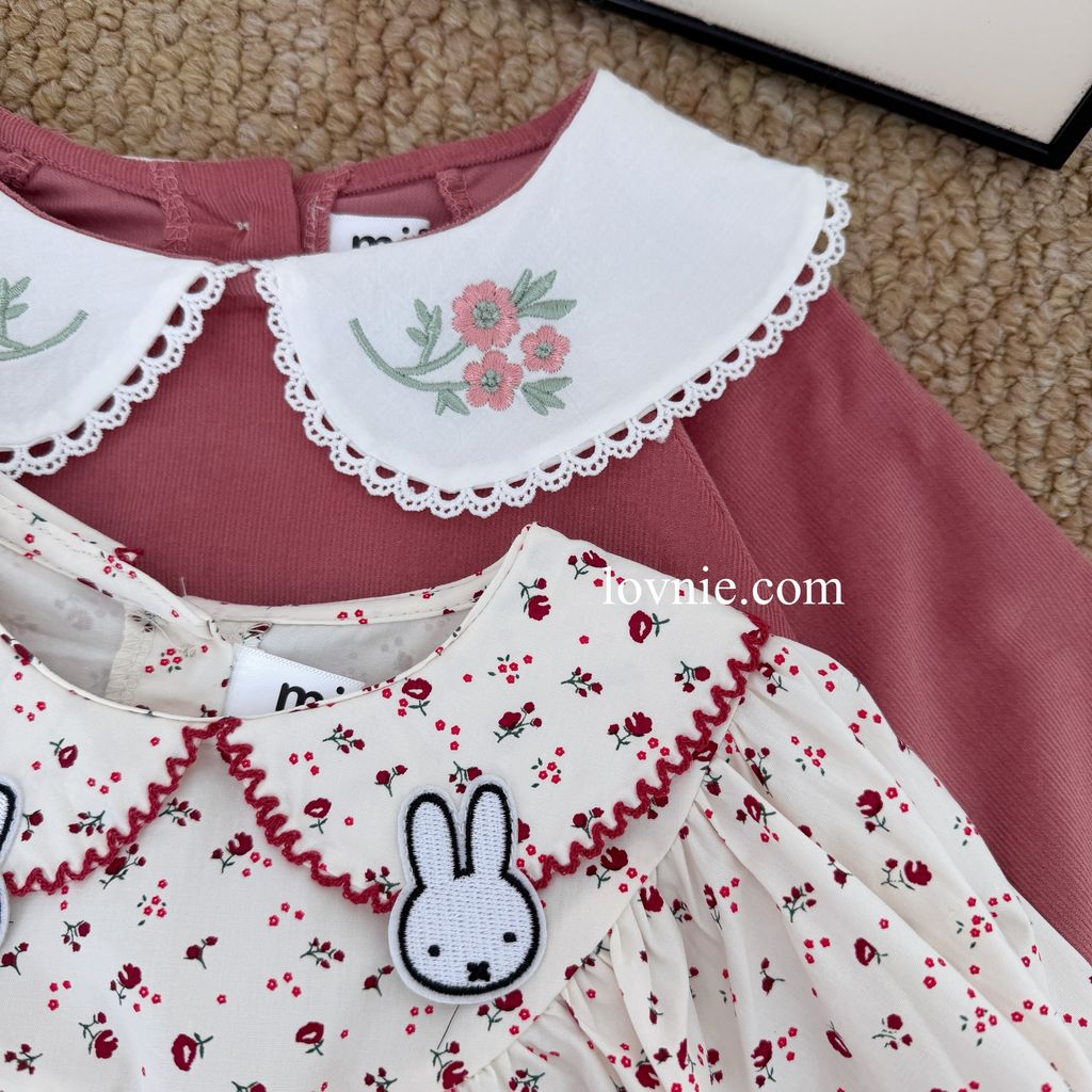 image_2F256243-C6AF-4D03-8602-E71DBCEB0BDE_1765350476