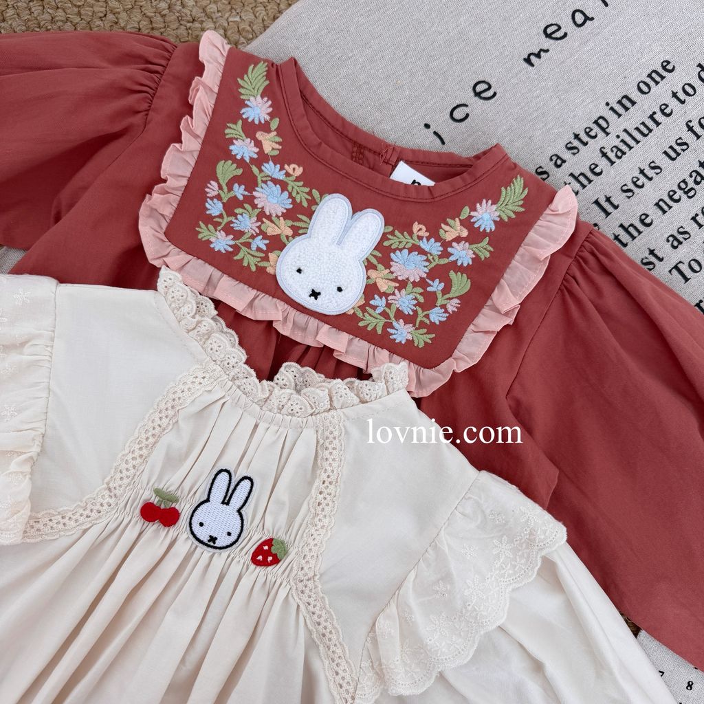 image_95AC6F78-EDB7-46CA-A017-673D9A920E16_1765350476