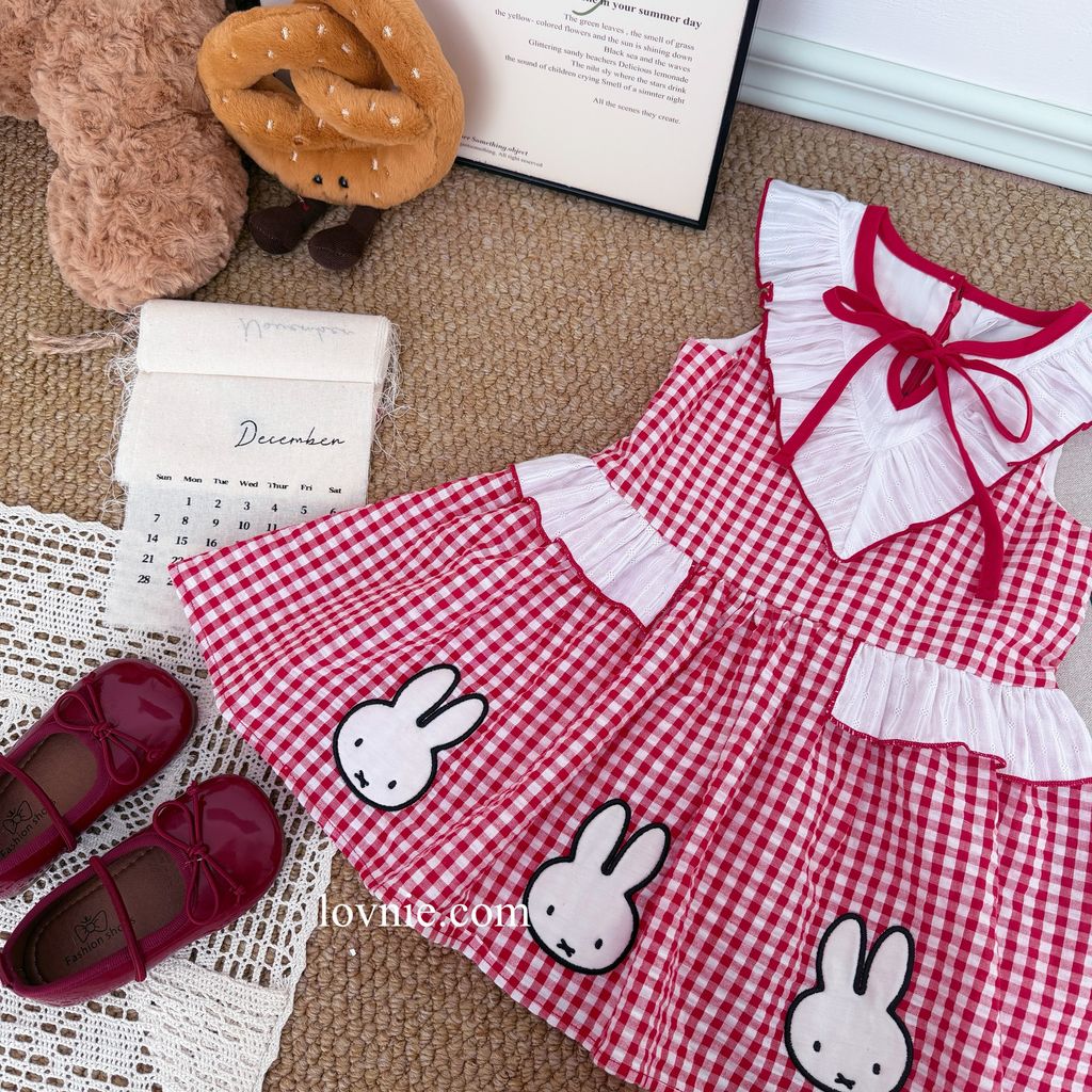 image_D86A0DDE-2896-41EA-BBC1-573F63C9E4FF_1765350879