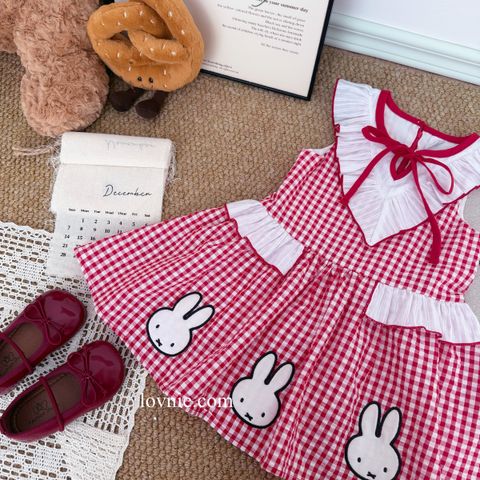 image_D86A0DDE-2896-41EA-BBC1-573F63C9E4FF_1765350879