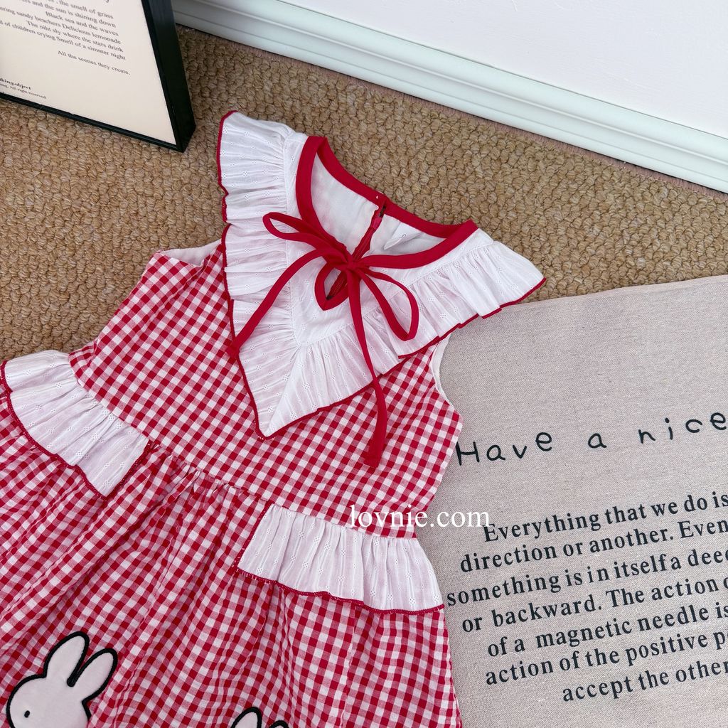 image_BF114BE6-A786-42F7-9DC8-FF0F0EE4BA19_1765350879