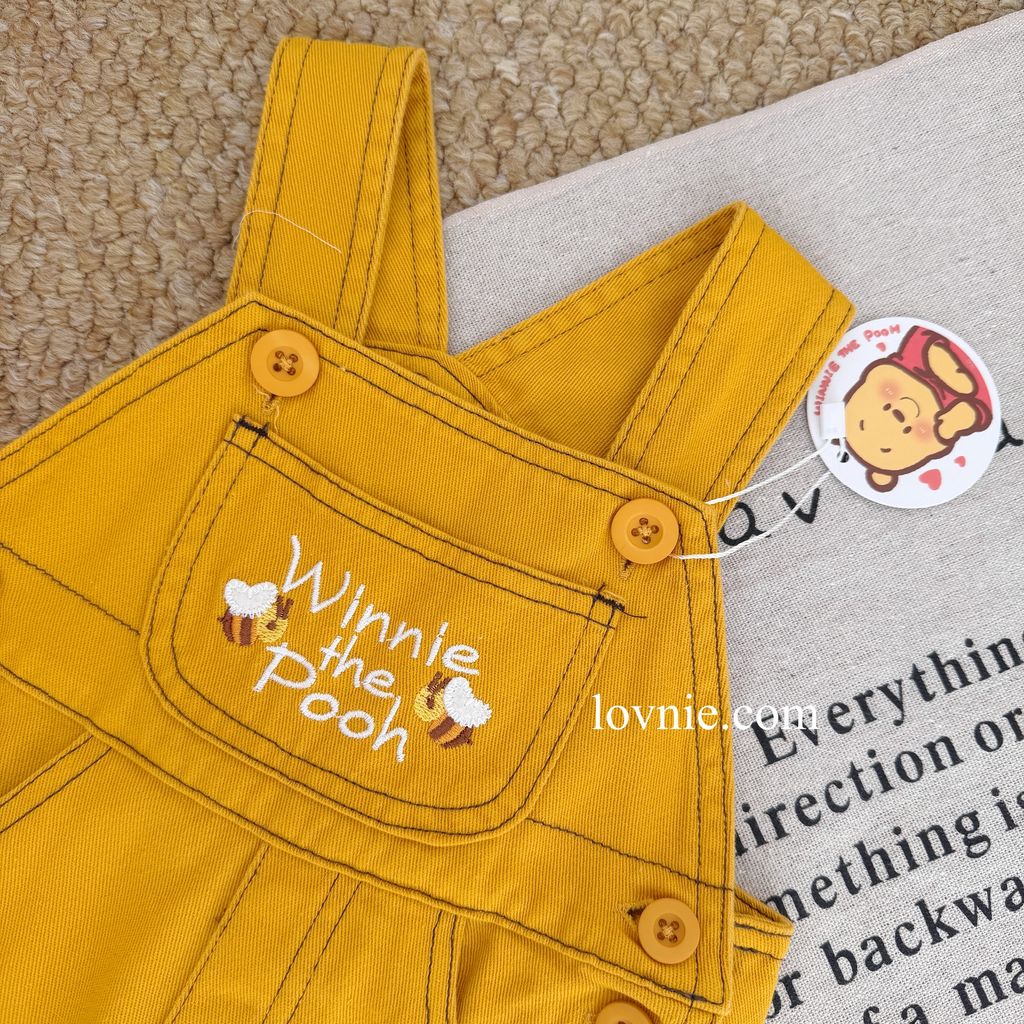 image_0FD789C2-E360-4BB8-B669-BD099AF781E2_1766111381