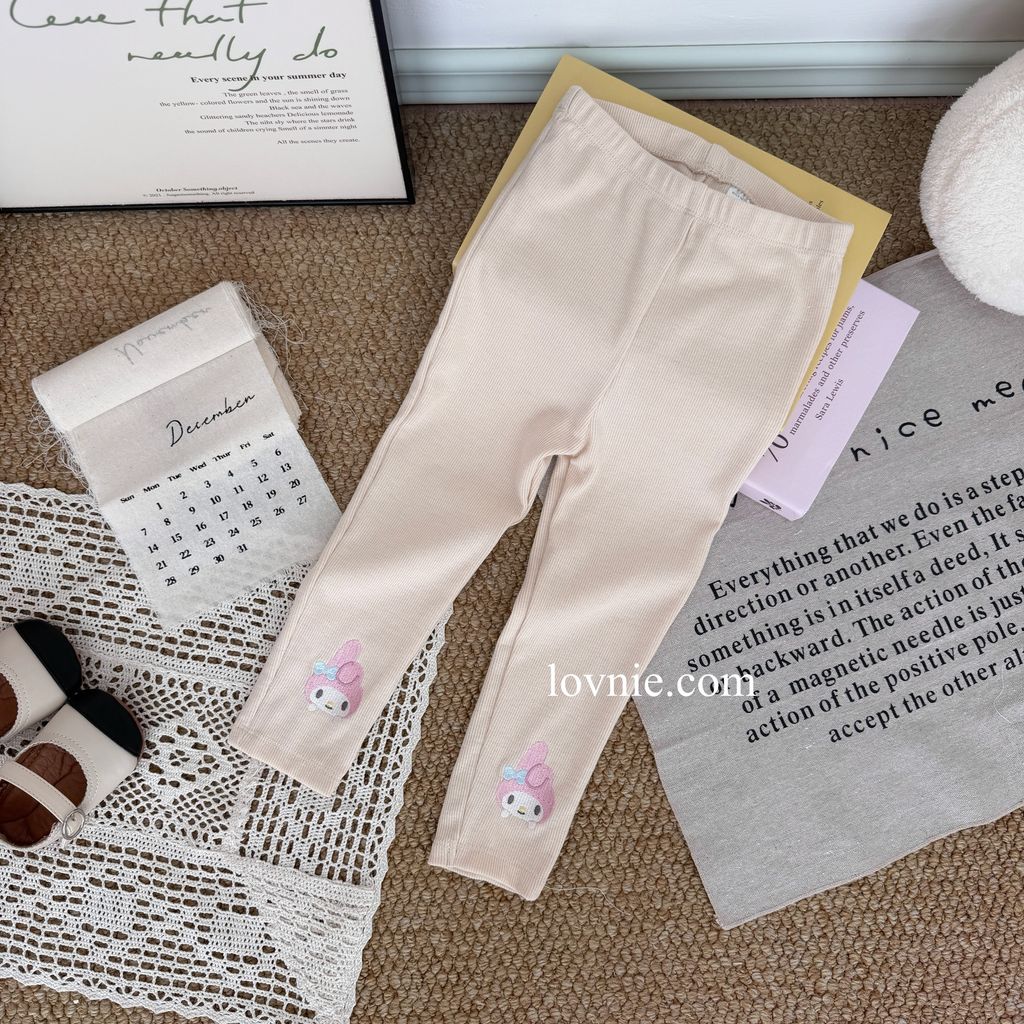 image_B06274FC-AC91-44FB-B998-34B6A40BEEA6_1766115070