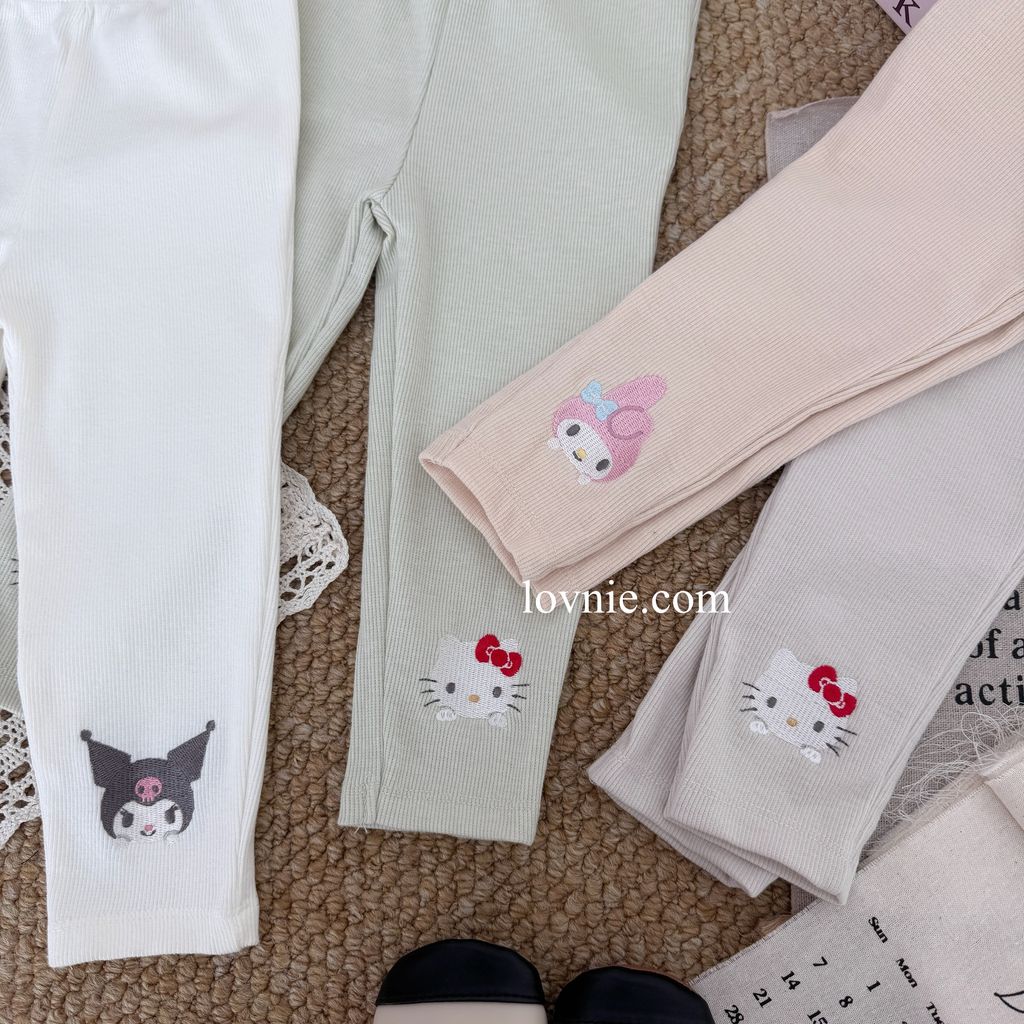 image_975C704E-8A21-4460-BA8D-8BF7A8173D5B_1766115070