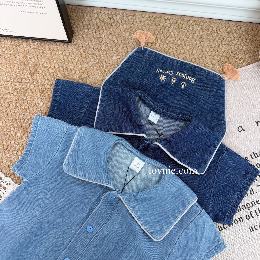 image_7AB68926-1157-4CD6-A8AF-1761B645CF81_1766115552