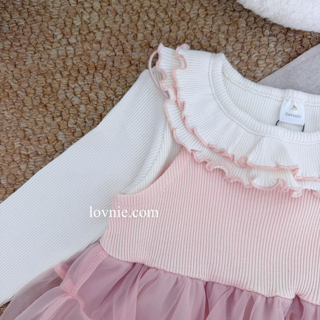 image_192518E0-8C5A-4031-9E53-FB69822FCA14_1766116906