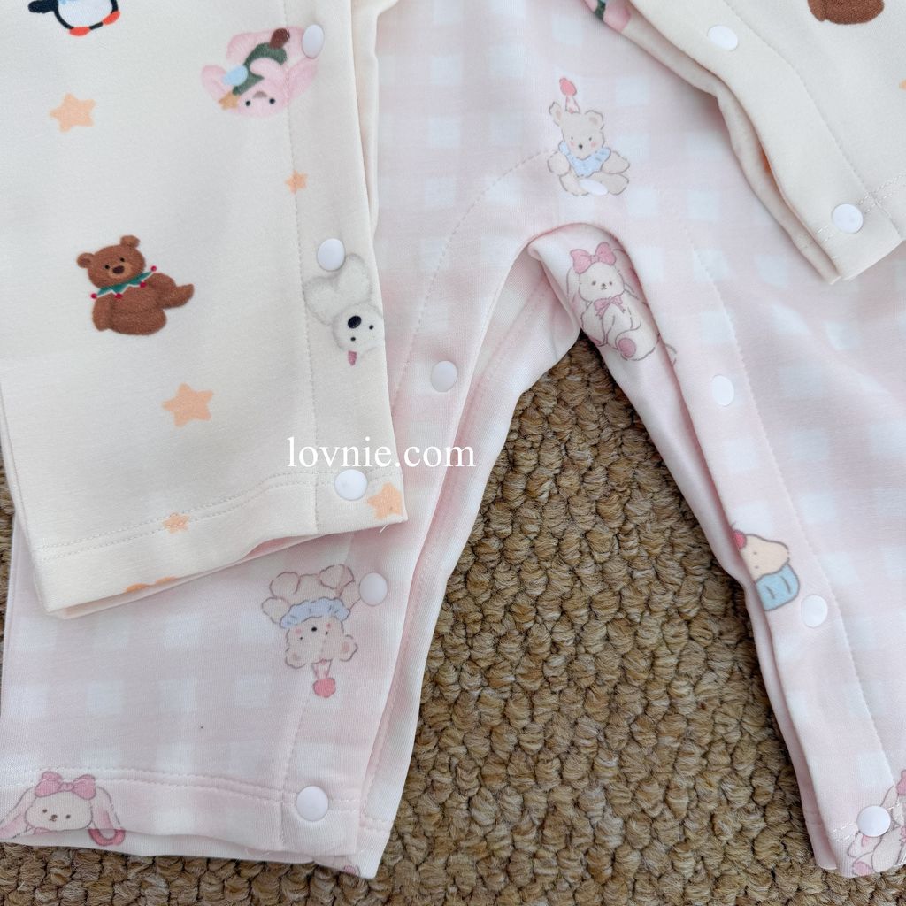 image_6C00BEE4-6503-400F-BC77-53423DA58D2E_1767068488