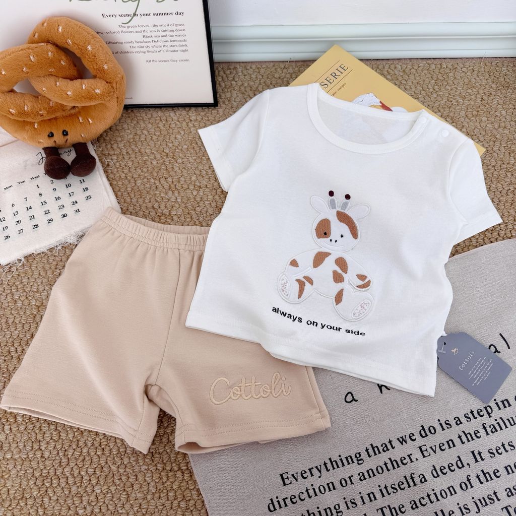 image_414C5F51-6CE2-47E2-A198-616CF54B9C08_1767841667