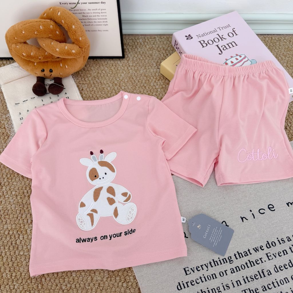 image_2A273206-E426-43A5-BB7E-C310AD07B47C_1767841667