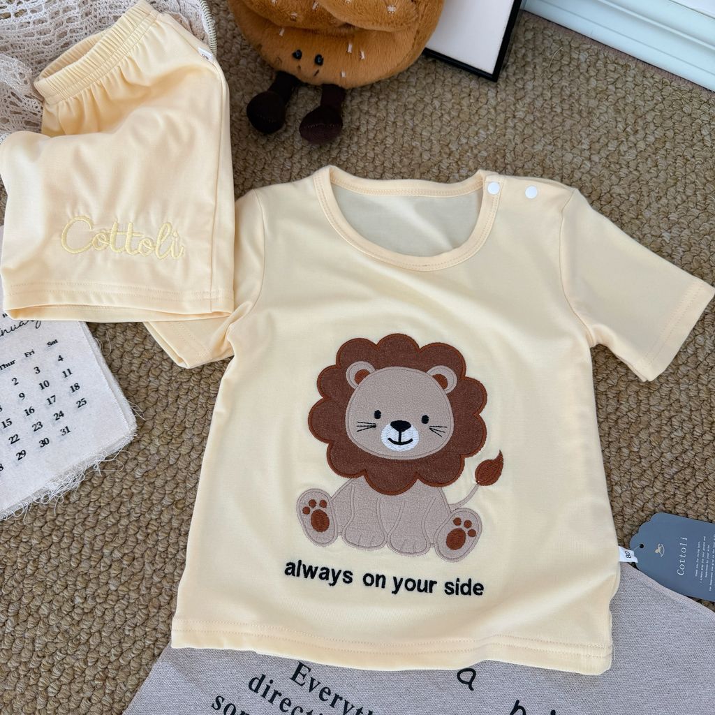 image_FCBAE07C-734D-4A8B-BAE3-CEC953060B36_1767841667