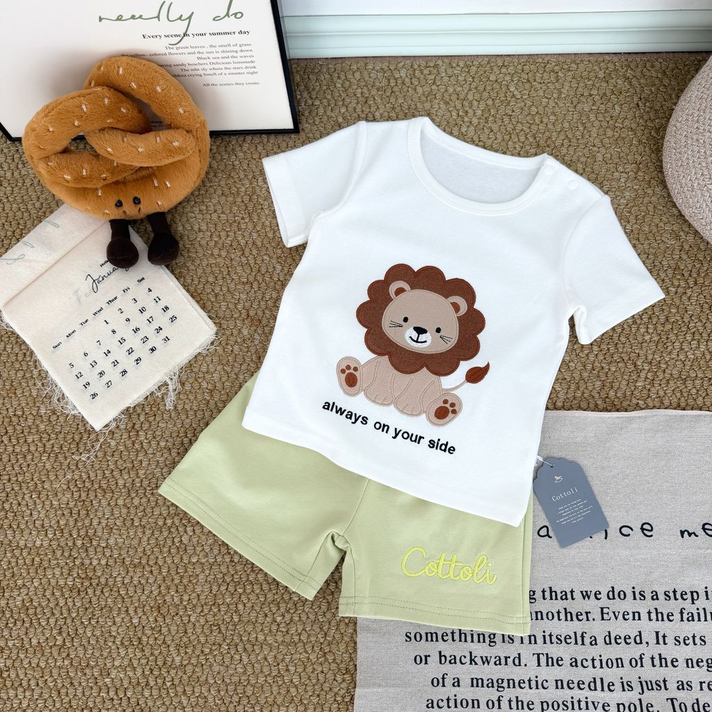 image_D3BEABF4-B811-46EE-BA74-6DBDCBFA742D_1767841667