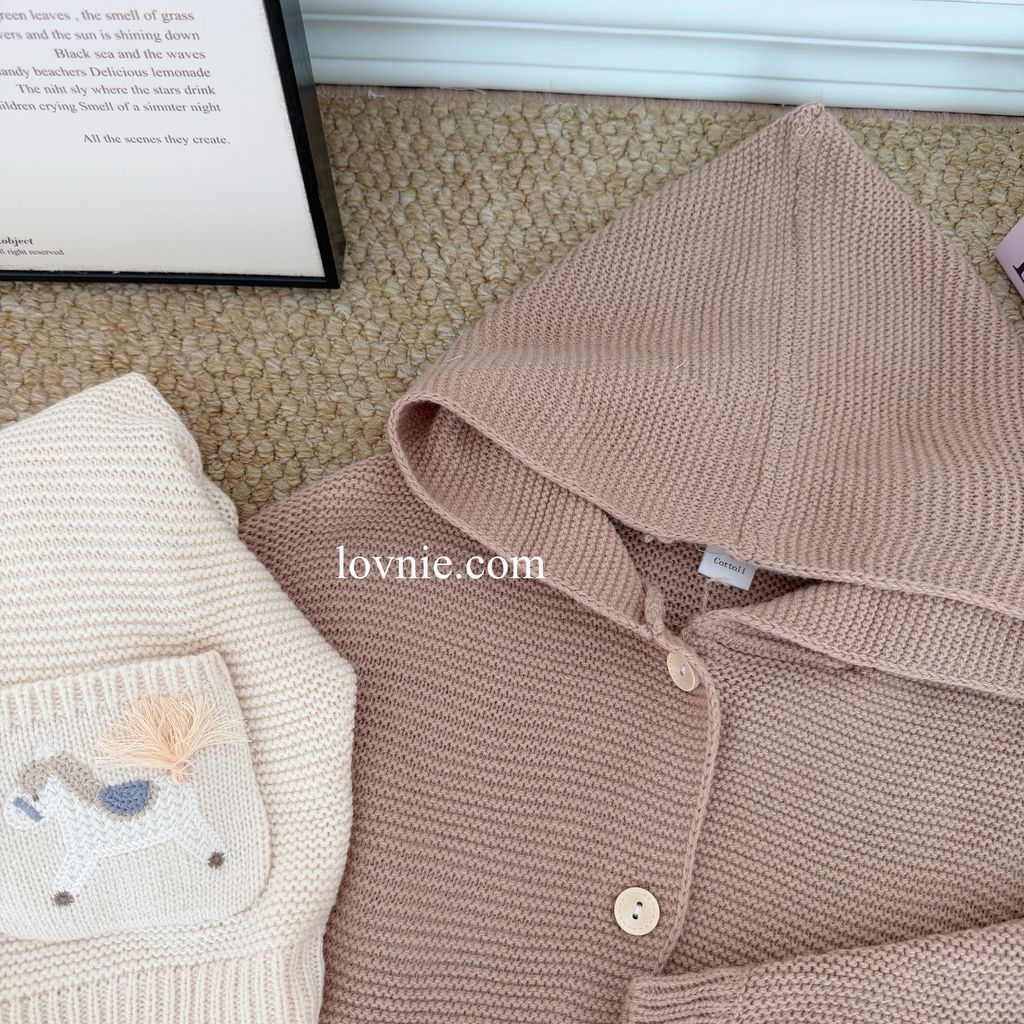 image_7994E3AB-55EA-411C-BE89-622768018E98_1767842492