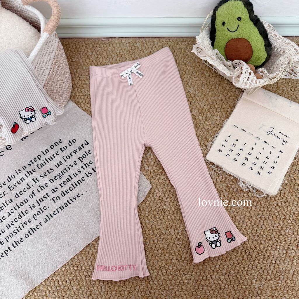 image_85E69F09-69B0-4547-B652-AE29ECB10EAB_1769038581