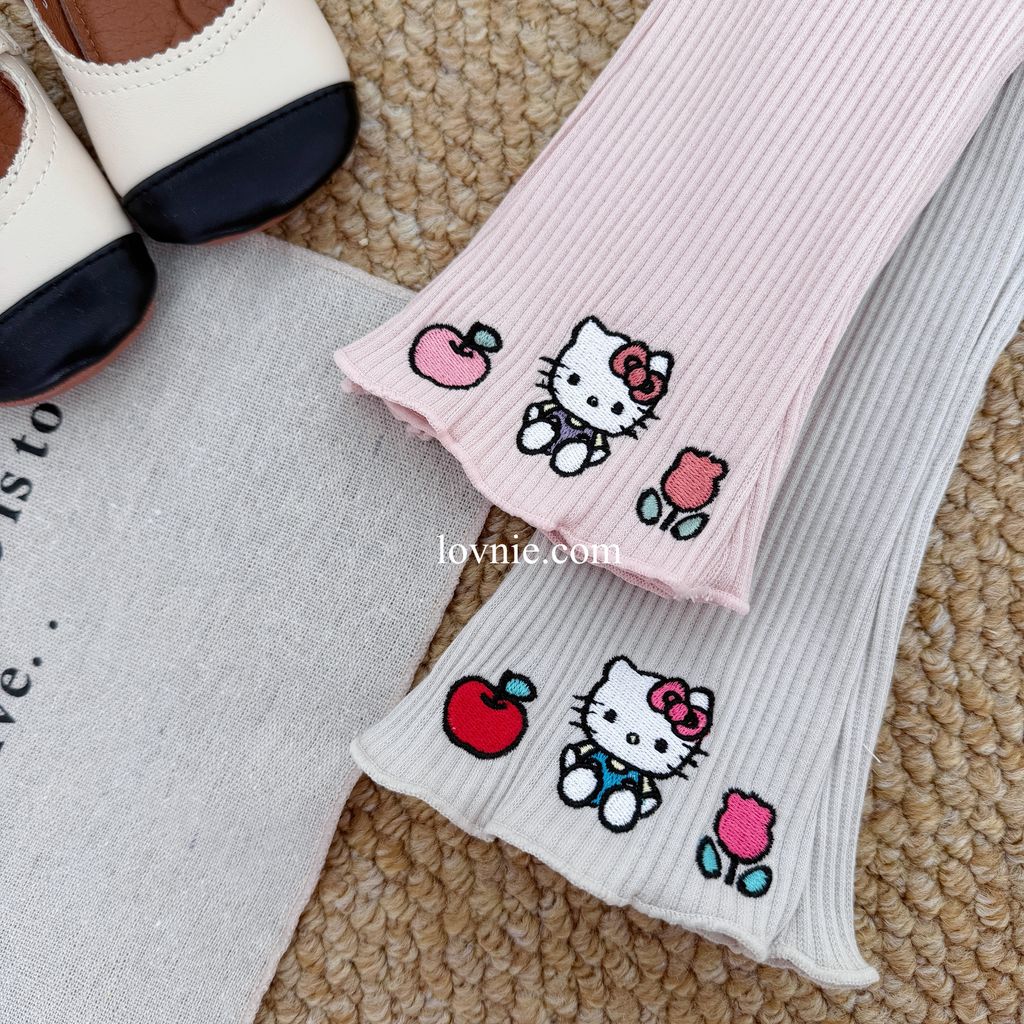 image_FFB91276-2B23-427E-A43B-0583D16E6728_1769038581