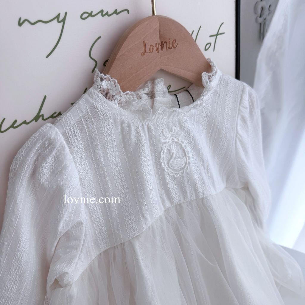 image_9044DCB9-7436-4025-B475-C1F5DC7F8B3F_1769722503