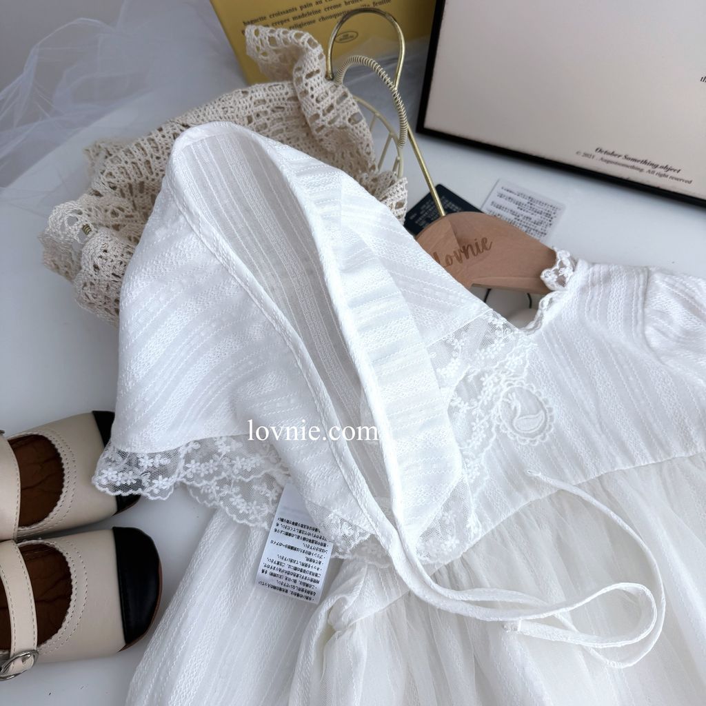 image_E8812083-4F50-41BC-99FE-0C696FEFDB1D_1769722503