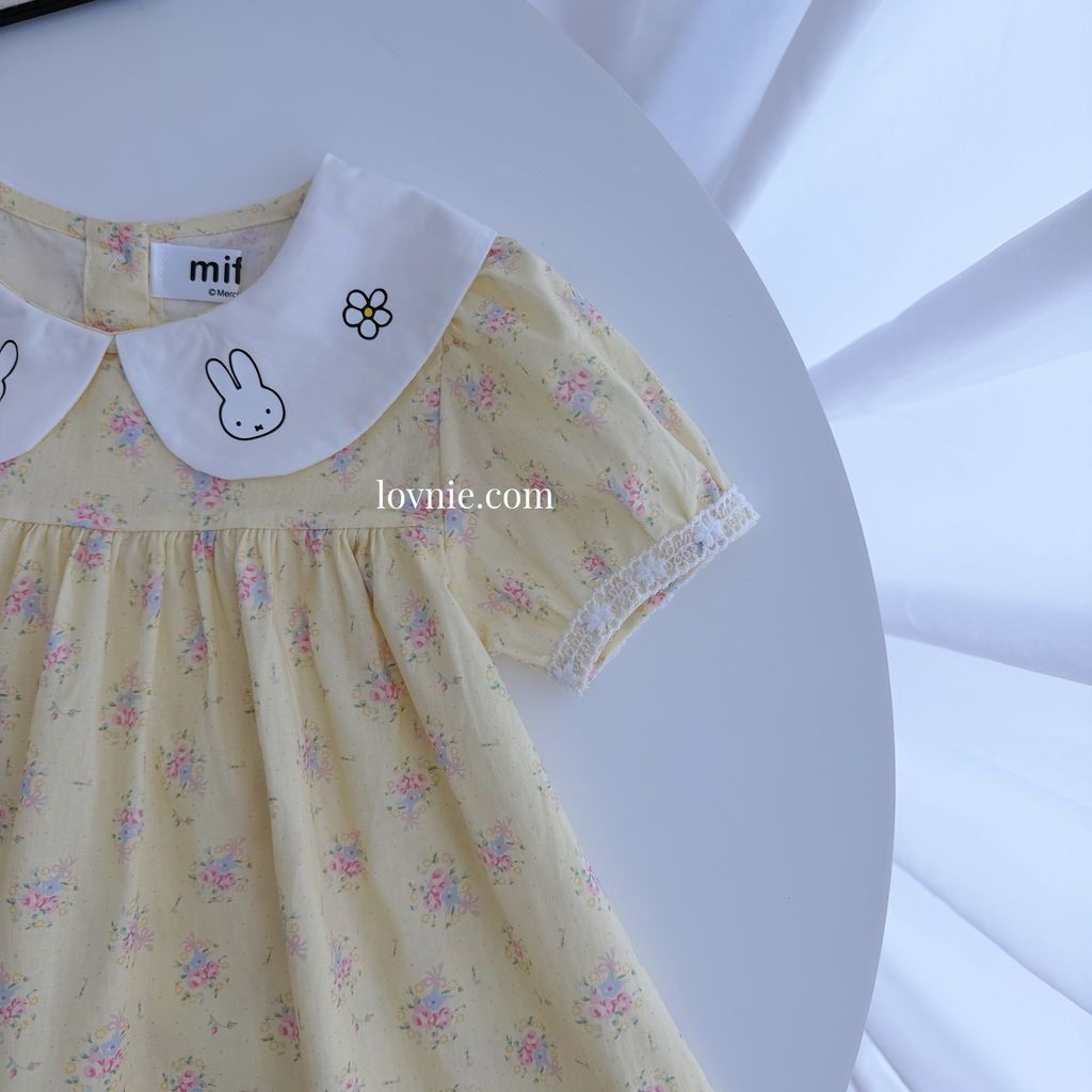 image_DD26D704-30C3-49D6-B66D-96F546362D6F_1771079009