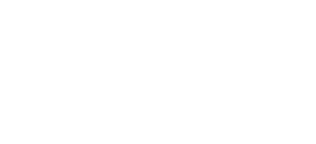 Vainessa
