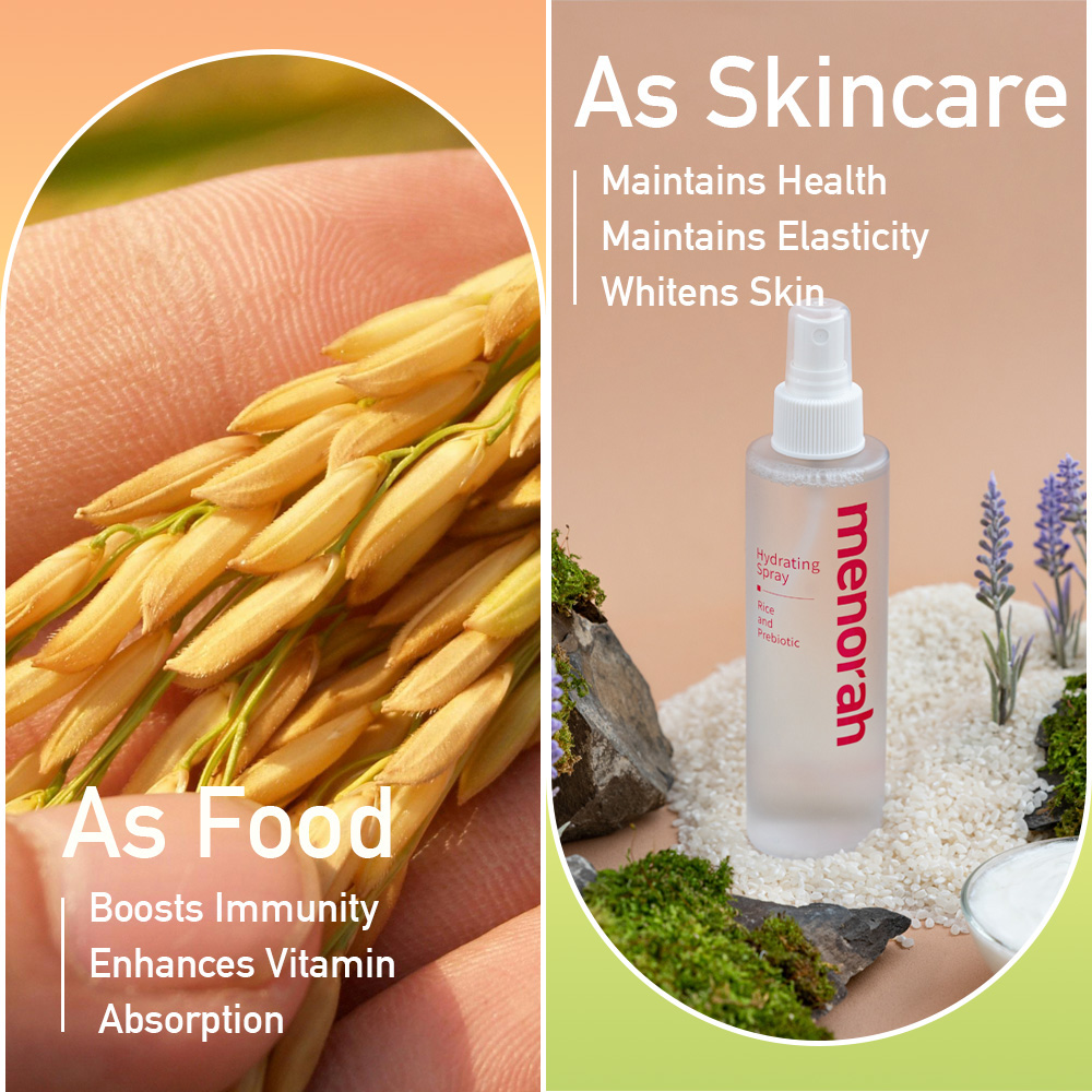 455324669_122187257708074866_3413163860427545736_n