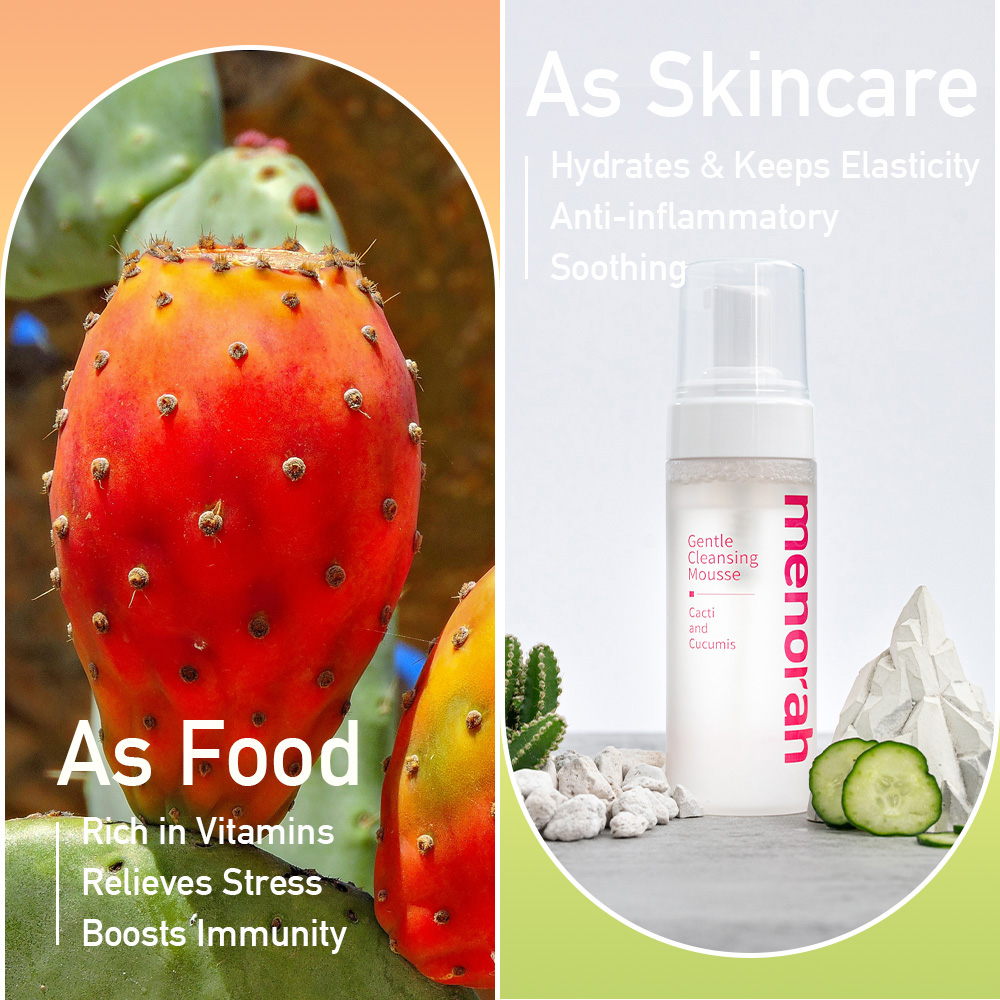 455346622_122187257696074866_7598504234931093837_n