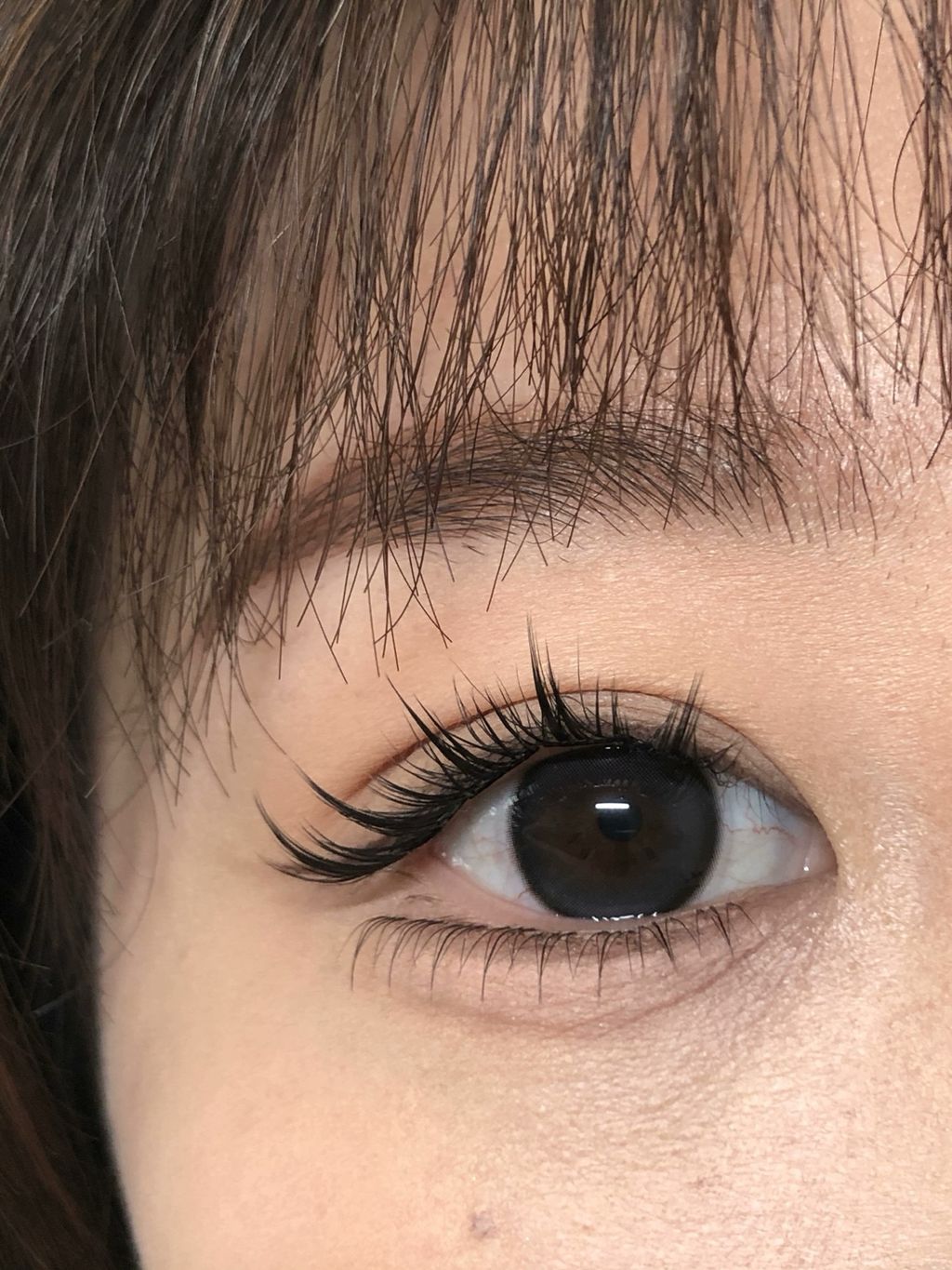 image_AF37F75E-6FBE-4577-969C-DB11F611BF88_1748780651