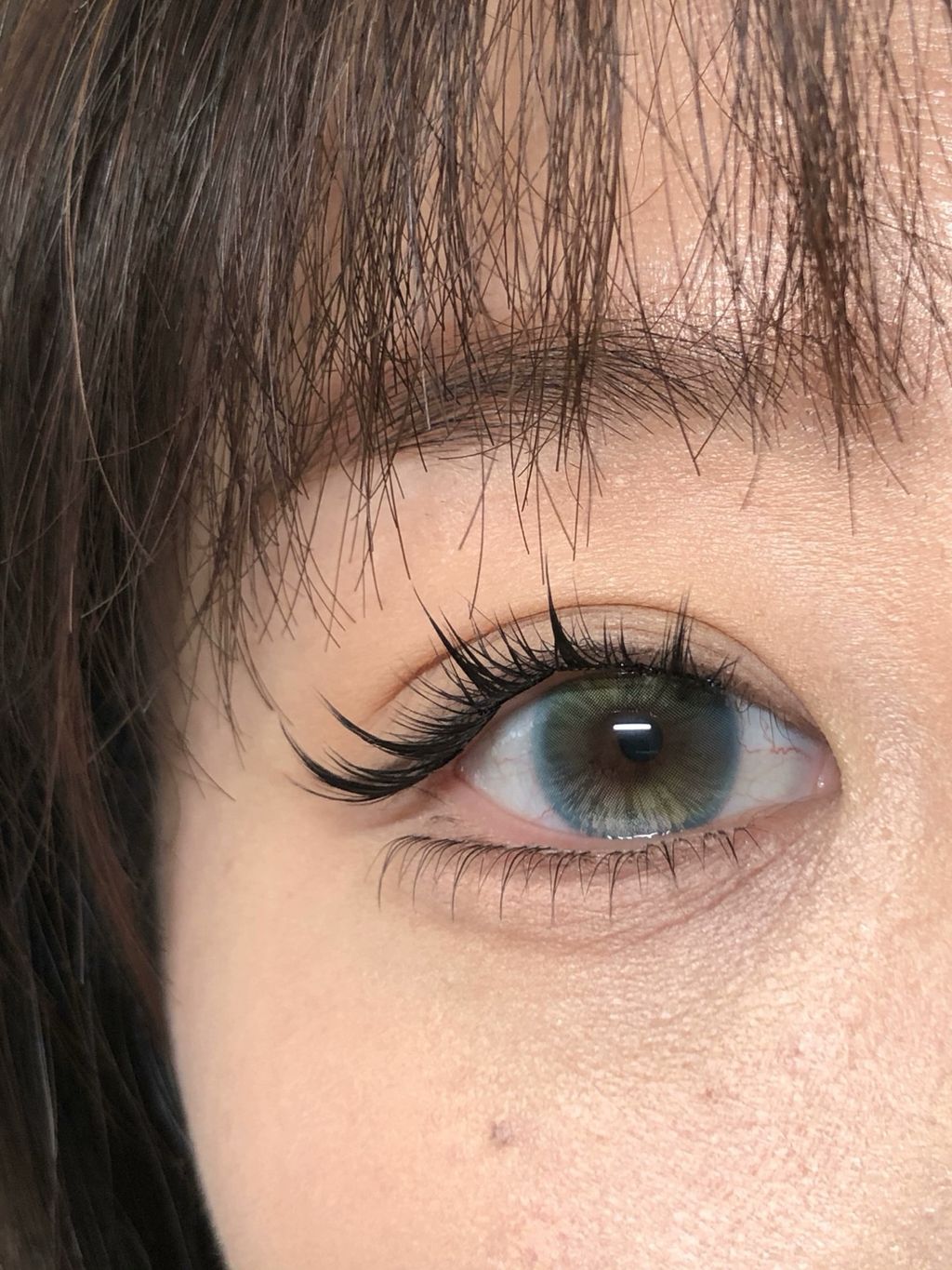 image_B15608F2-55E1-4743-83C7-4ED36271D454_1748796338