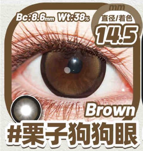 image_D8742428-A2B8-4CE7-99EA-8213DC91418E_1751466769