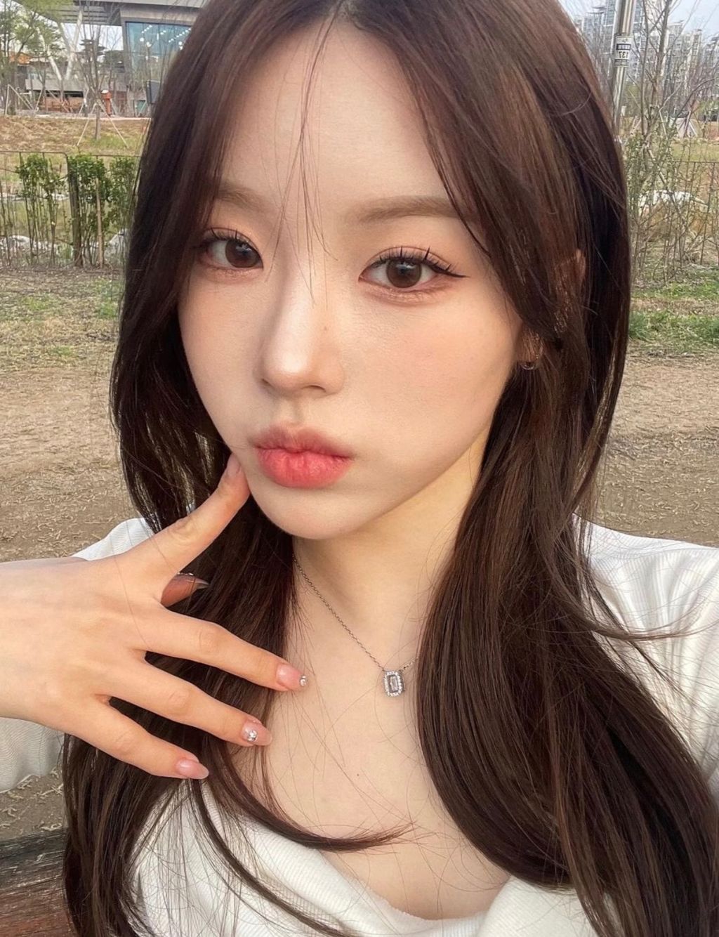 image_A269CFAC-3E01-4355-A849-32B5908CD267_1762521483