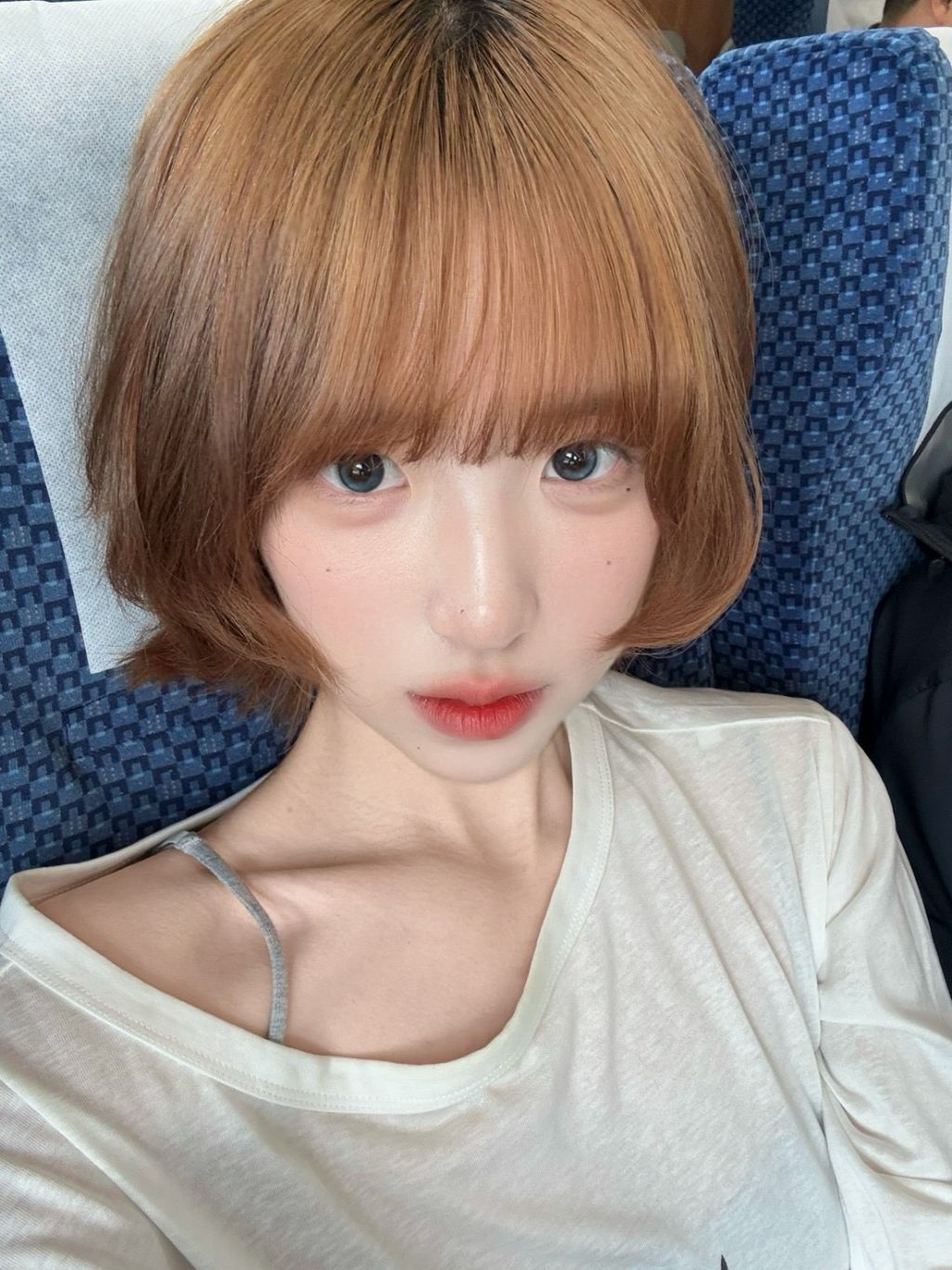 image_9BBBBFC3-BD1E-46F4-9BA0-7019D19D0F44_1762533076