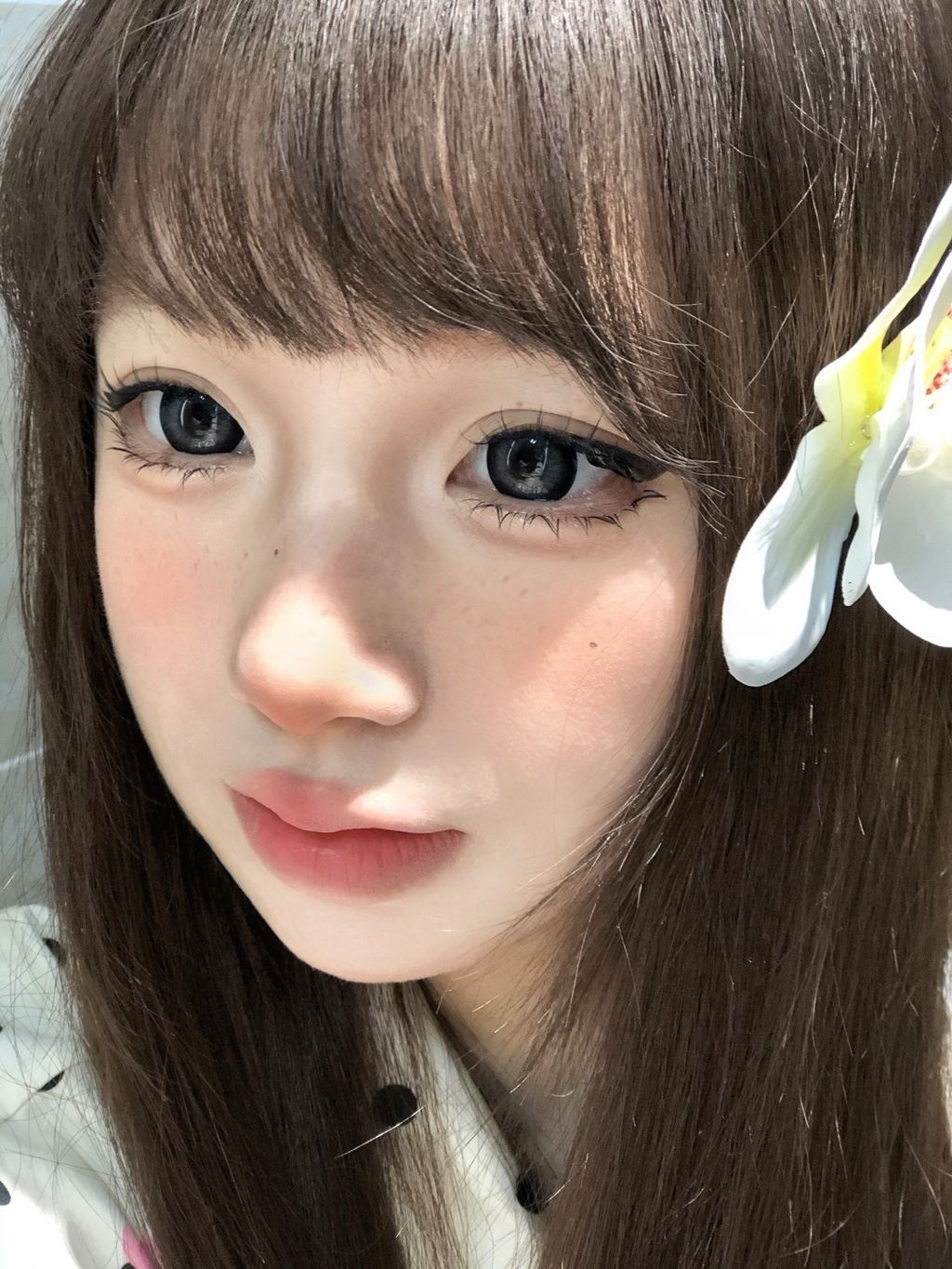 image_EE801FB8-C41D-44B5-A5A6-4C51B877E029_1768914912